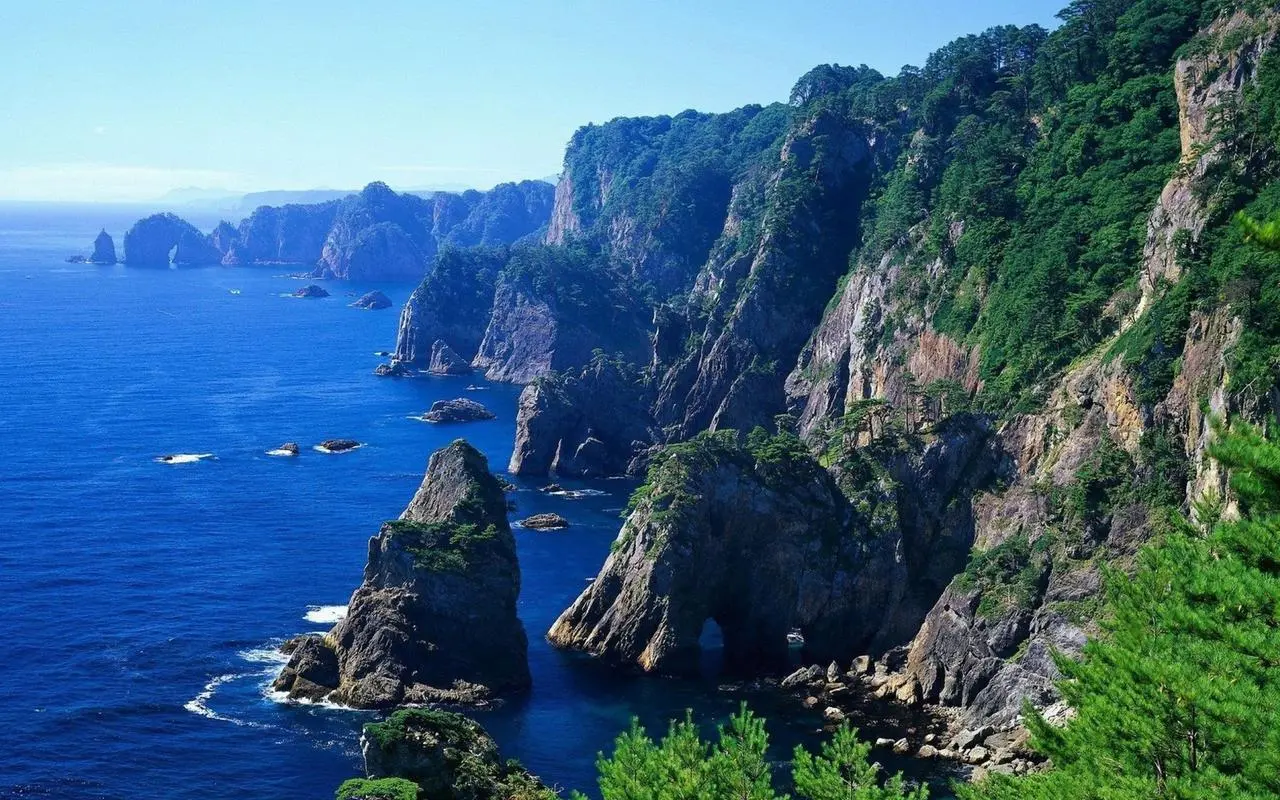 高端绿色